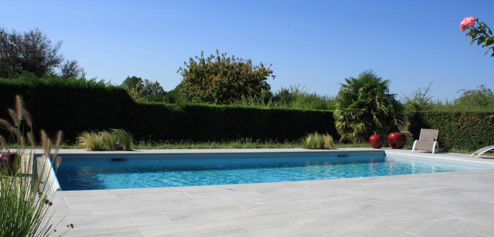 Réalisation d'une piscine paysagée à Charly