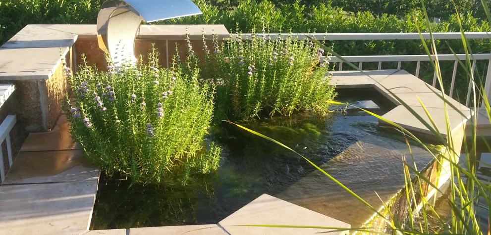 Bassins aquatiques réalisés en Auvergne-Rhône-Alpes